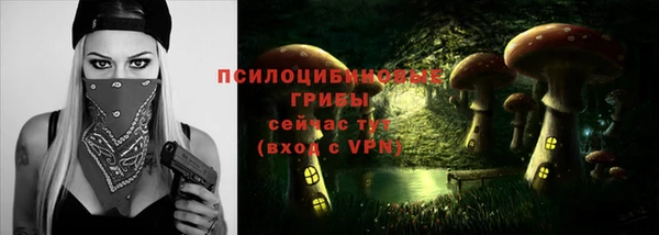 наркотики Алексин