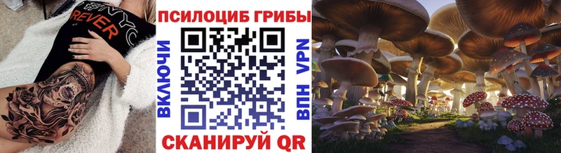 Псилоцибиновые грибы Psilocybine cubensis  Кукмор 